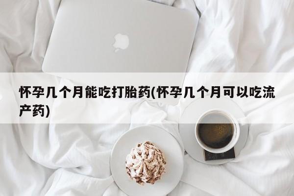 米非司酮片在线下单药店怀孕几个月能吃打胎药(怀孕几个月可以吃流产药)